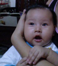 hoanghit